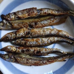 フライパンで簡単！焼きししゃも